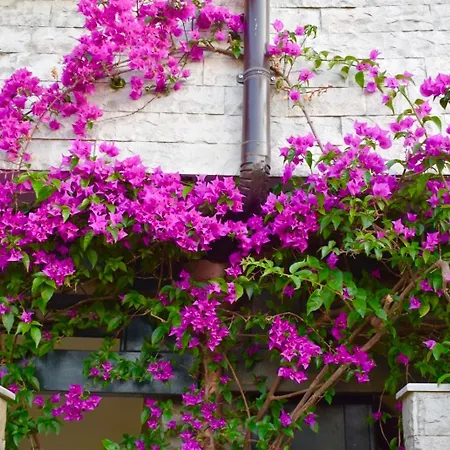 Appartement Aquamarine 1, Vlorë