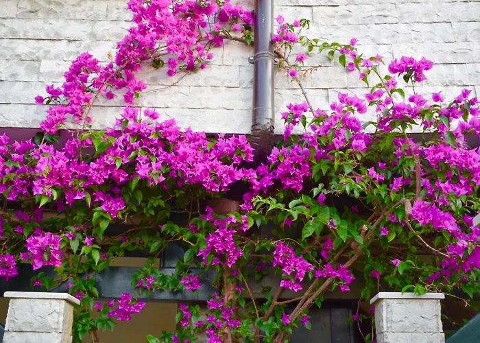 公寓 Aquamarine 1, Vlorë