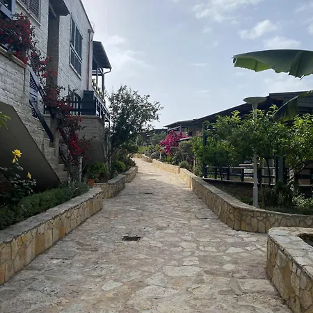 Aquamarine 1, * Vlorë