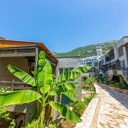 Aquamarine 1, Vlore