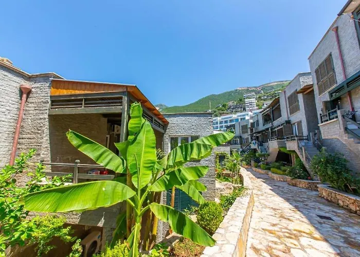 Aquamarine 1, Vlorë